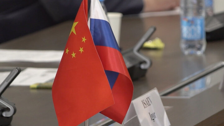 BRICS countries actively develop educational exchange programs