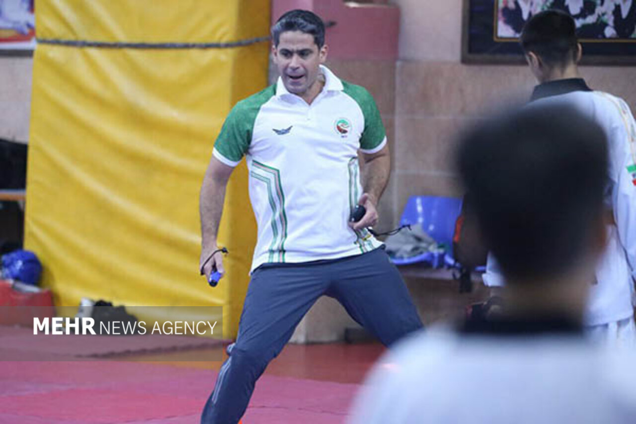 تيم،آرين،ملي،انتخابي،مربي،ادامه،روز،قهرمان،مسابقات،مدال،فدرا ...