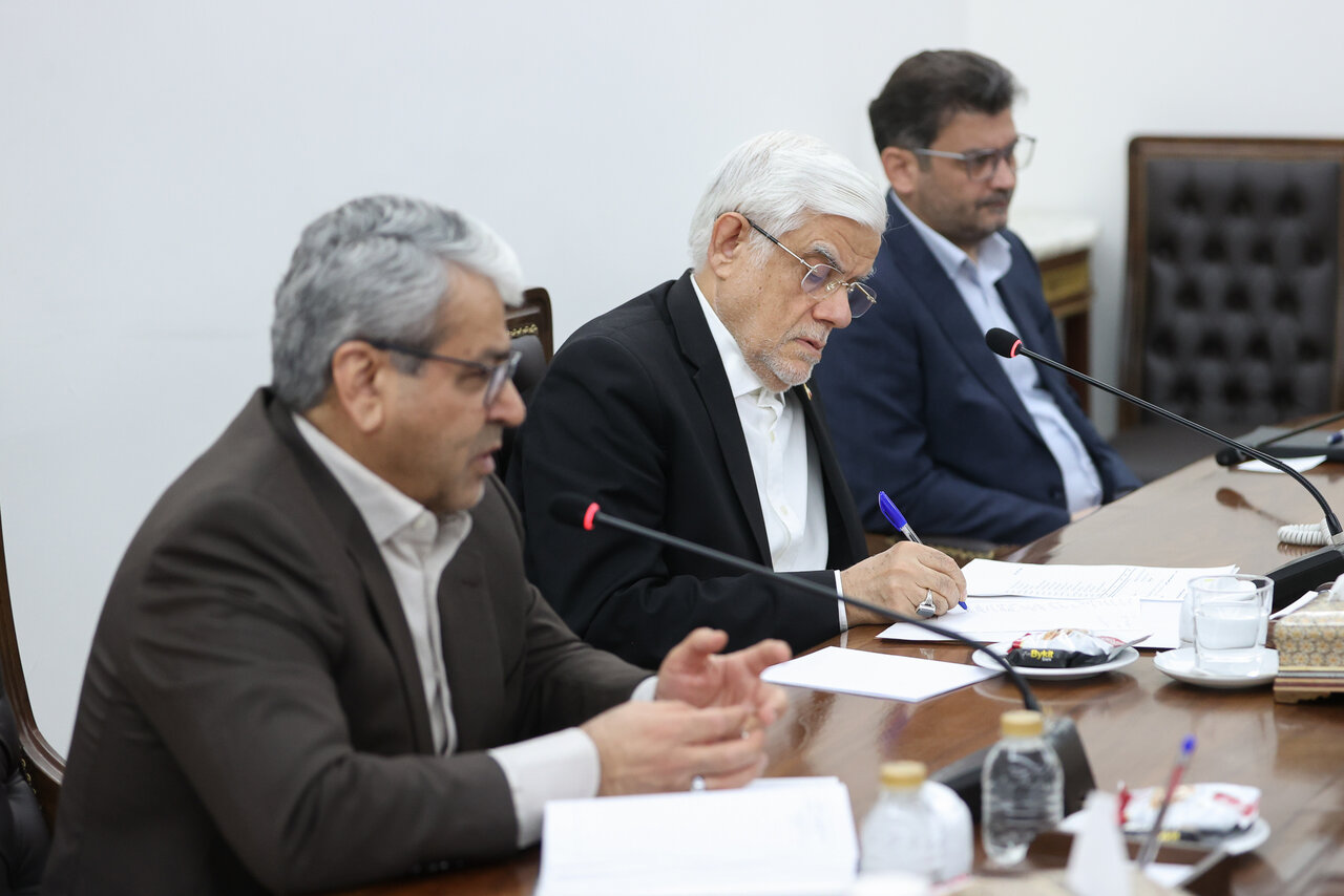 دولت،معاون،لوايح،اجرايي،اقتدار،كارشناسي،وزرا،معاونان،عارف،نخ ...