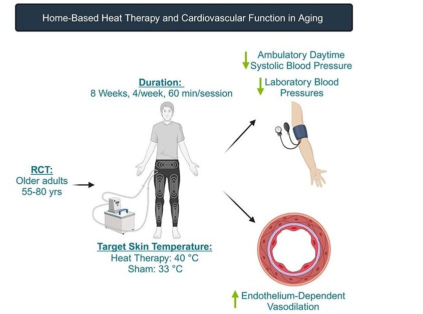خون،فشار،دماي،گرما،قلبي،درجه،گروه،رومرو،بدن،بهبود،آب،هفته،كا ...
