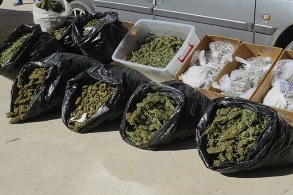 عمليات،مأموران،ري،اطلاعاتي،شهرستان،انتظامي