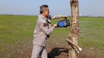 شکارچیان غیرمجاز در خمام ناکام ماندند