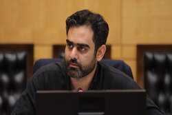 درخواست ۵۰ میلیارد تومانی شینا انصاری برای سفر کاری به برزیل