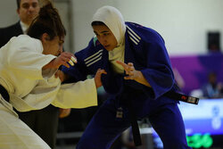 مریم بربط صاحب مدال برنز شد