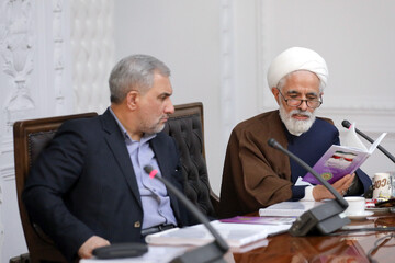 انصاری: آسیب‌شناسی نحوه اجرای قانون اساسی از مهمترین موضوعات است