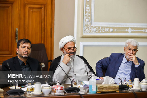 جلسه شورای هماهنگی مجلس شورای اسلامی