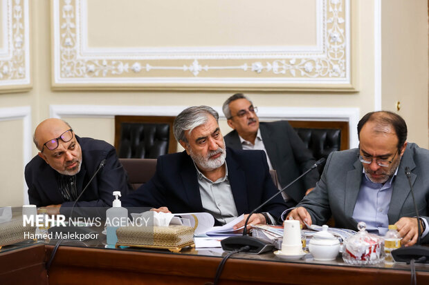 جلسه شورای هماهنگی مجلس شورای اسلامی