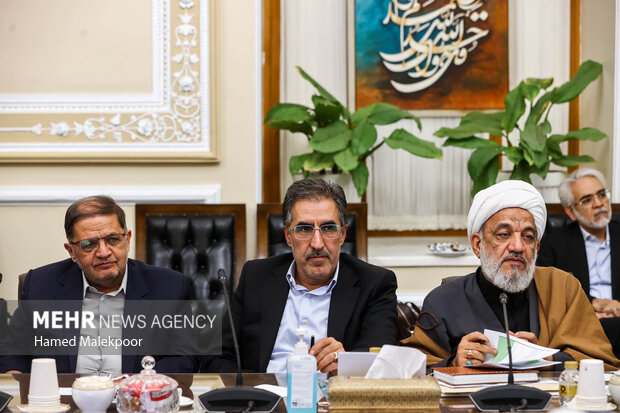 جلسه شورای هماهنگی مجلس شورای اسلامی