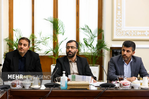 جلسه شورای هماهنگی مجلس شورای اسلامی