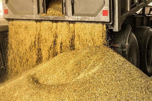 دامي،نهادهاي،اقتصادي،احتكار،پليس،امنيت،اشاره،رحيمي