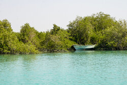 رضوان مشتاق: با هرگونه تصرف و تخریب اراضی ساحلی  برخورد خواهد شد