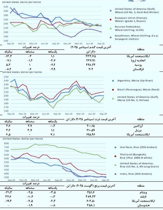 کاهش قیمت جهانی برنج؛ دانههای روغنی و کنجاله گران شد