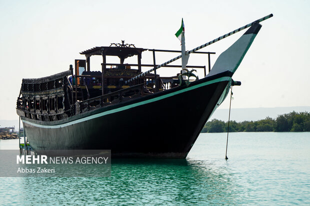 جنگل حرا سهیلی؛ شگفتی سبز قشم