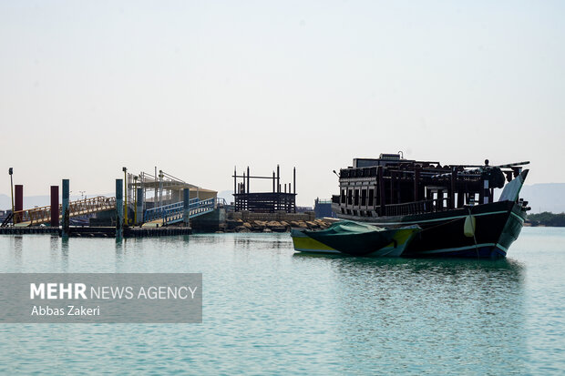 جنگل حرا سهیلی؛ شگفتی سبز قشم