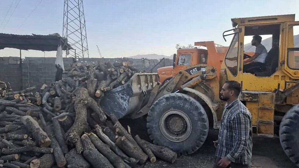 طبيعي،منابع،چوب،قاچاق،انتظامي،برخوار