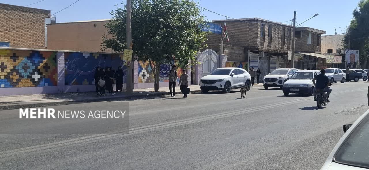 شهر در قُرُق سگها!