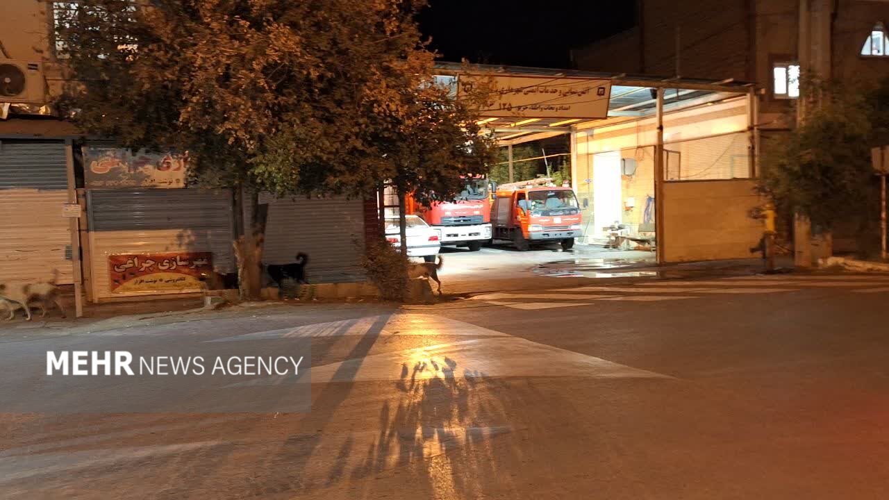 شهر در قُرُق سگها!