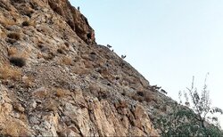 عواقب خطرناک عدم مدیریت اصولی پسماندها در حاشیه شهرهای استان سمنان