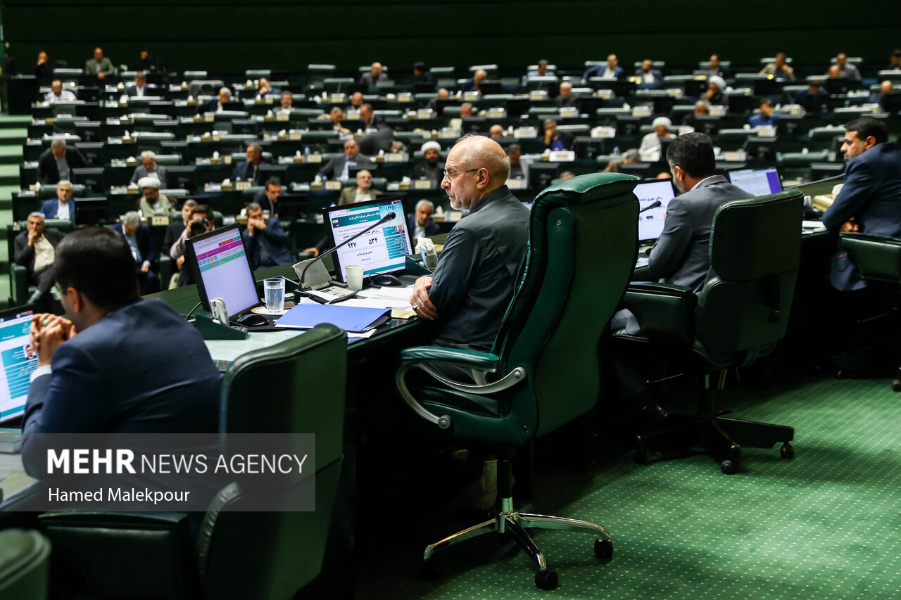 رأي،مجلس،گزارش