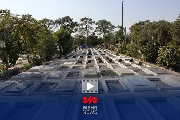 گلزار،اجراست