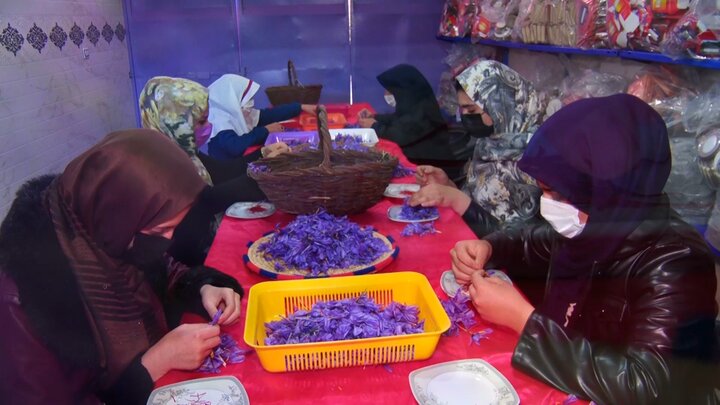 یاقوت سرخ «ازان» در جستجوی تاج هویت یاقوت سرخ «ازان» در جستجوی تاج هویت