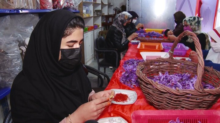 یاقوت سرخ «ازان»  در جستجوی تاج هویت