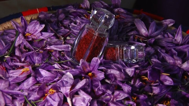 یاقوت سرخ «ازان» در جستجوی تاج هویت یاقوت سرخ «ازان» در جستجوی تاج هویت