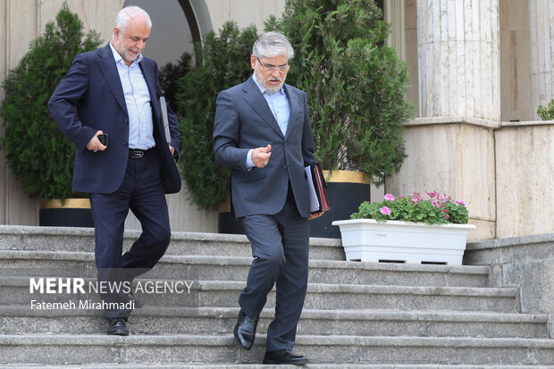 حاشیه جلسه هیئت دولت