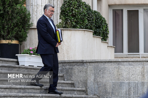 محمدرضا ظفرقندی وزیر بهداشت، درمان و آموزش پزشکی در حاشیه جلسه هیئت دولت