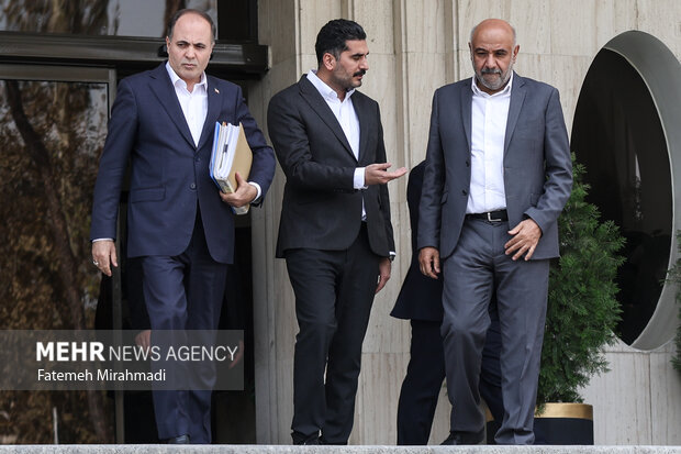 حاشیه جلسه هیئت دولت