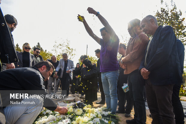 تشیع و تدفین همایون ارشادی