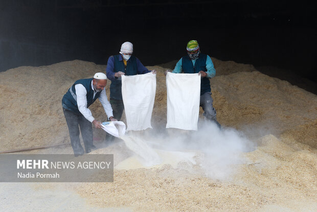 مزرعه دامپروری چپرقویمه گنبد در مسیر محرومیت زدایی