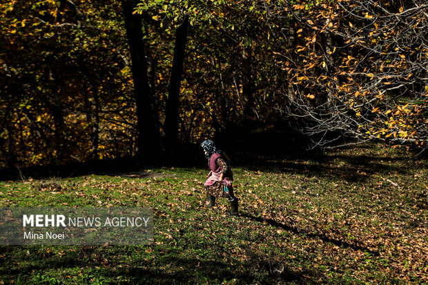 طبیعت پاییزی روستای نمنق