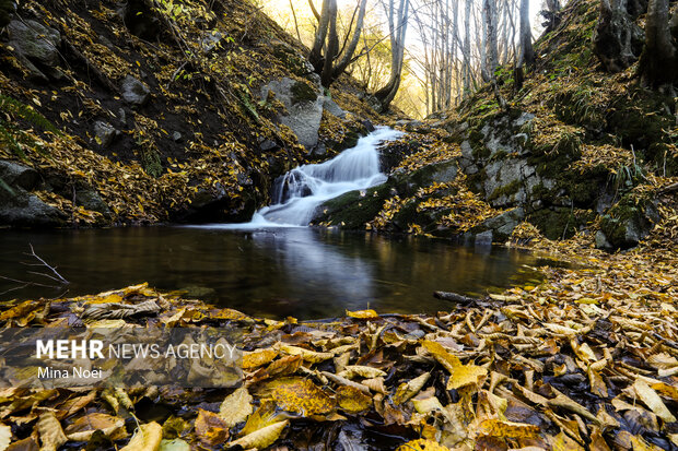 طبیعت پاییزی روستای نمنق
