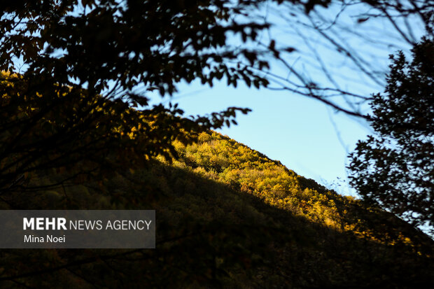 طبیعت پاییزی روستای نمنق