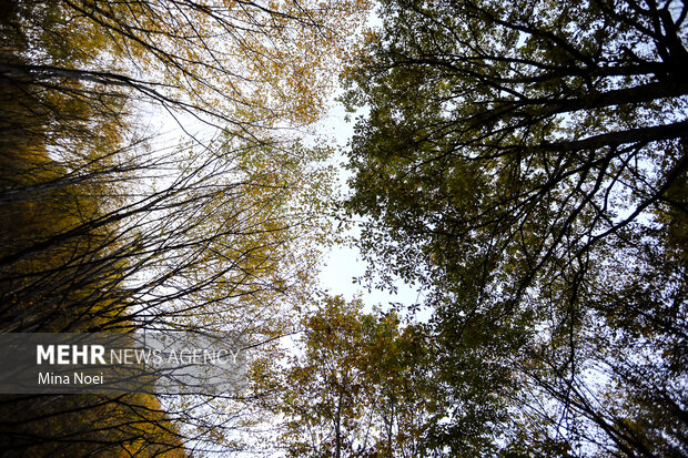طبیعت پاییزی روستای نمنق