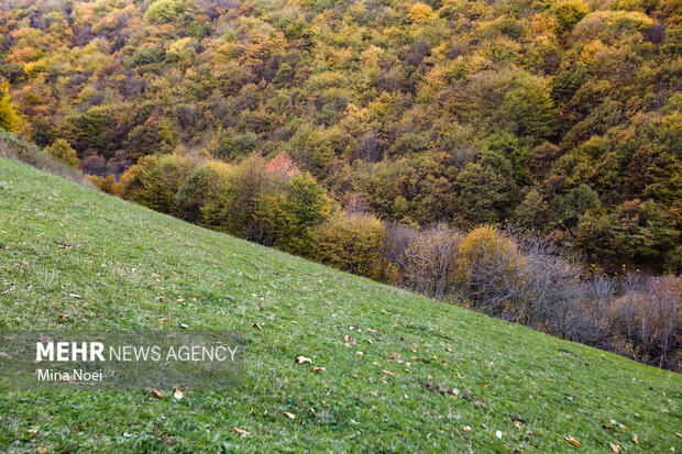 طبیعت پاییزی روستای نمنق