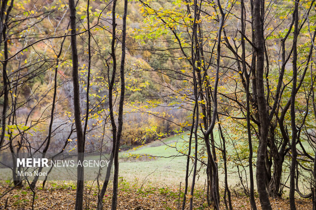 طبیعت پاییزی روستای نمنق