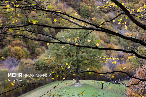 طبیعت پاییزی روستای نمنق