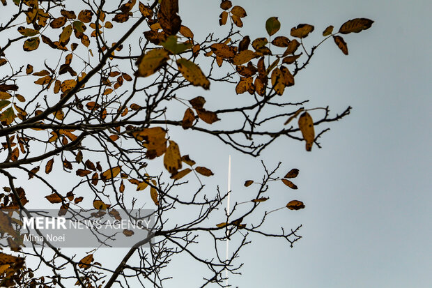 طبیعت پاییزی روستای نمنق
