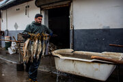 Gilan'da balık tüstülüme geleneği
