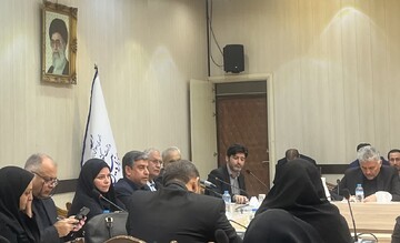 ربیعی:برنامه اصلی دولت هم افزایی اجتماعی و تقویت محله گرایی است