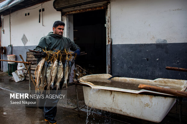 Gilan'da balık tüstülüme geleneği