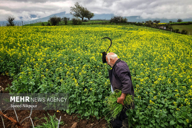 لحظه‌های گم شده