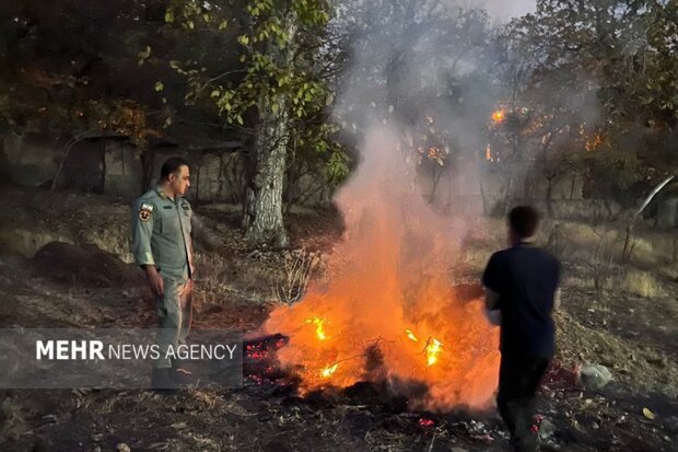 میرزاکریمی: سوزاندن شاخ و برگ درختان جرم زیست‌محیطی است
