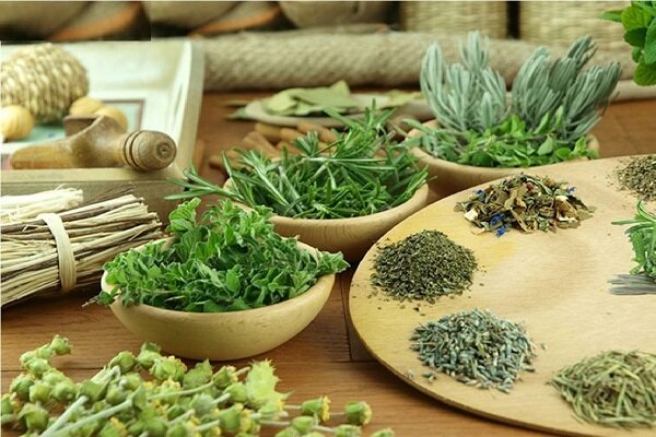 اقلیم متنوع سیستان و بلوچستان؛ بهشت رویش گیاهان دارویی کشور