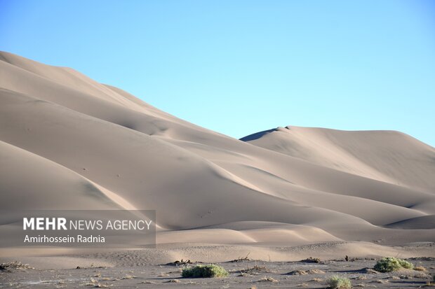 کویر ریگ یلان شهرستان نهبندان