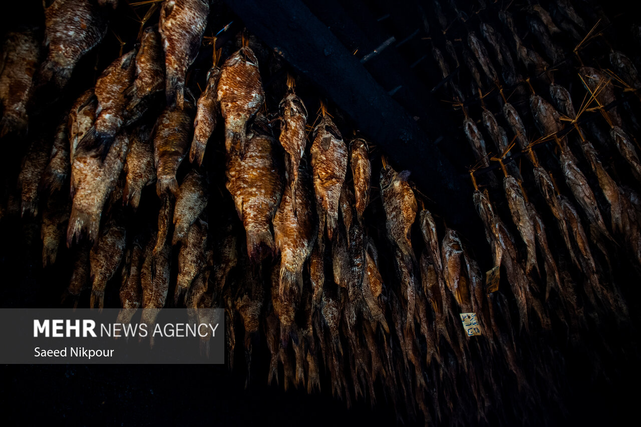 آب،صيادان،صيد،سنتي