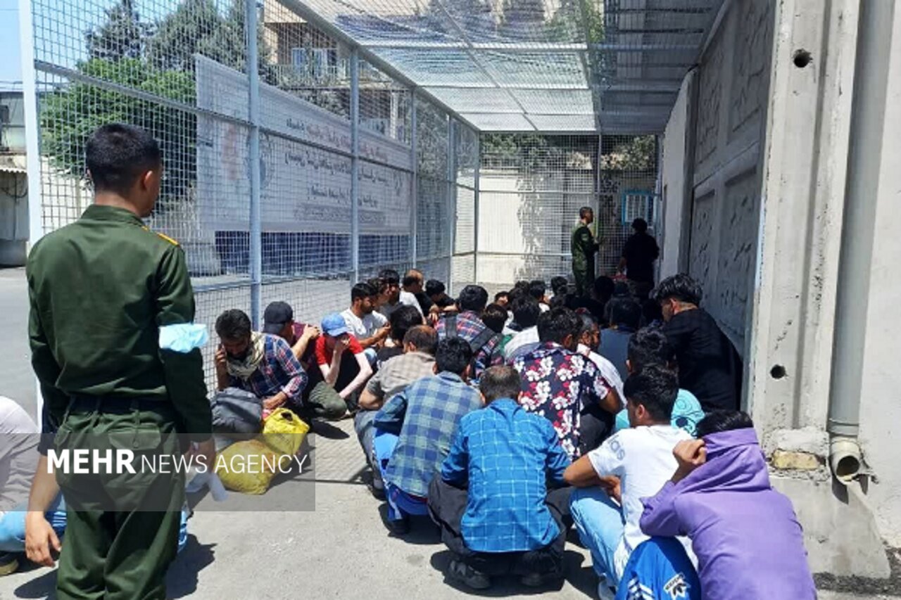 سرهنگ شیبک: ۲۶۰ نفر اتباع بیگانه غیرمجاز در هیرمند جمع آوری شد