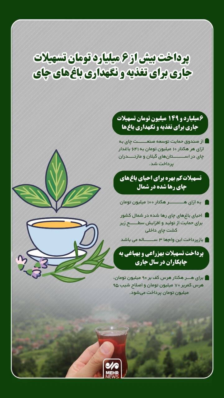 اینفوگرافیک؛ پرداخت بیش از ۶ میلیارد تومان تسهیلات به چایکاران شمال